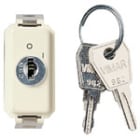 VIMAR SPA - VIW08381 INTERRUTTORE 2P 10AX +CHIAVE