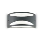 IDEAL LUX SRL - IUX092447 REX-3 AP1 ANTRACITE