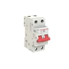 ELETTRA SRL AEG - AEGESD2063 SEZIONAT.MODULARE AEG ESD 2P 63A 2M