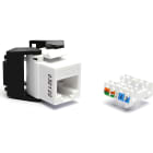 EXCEL - EXL100-208-WT Excel Cat6 Unscrnd Low Profile Toolless