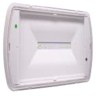 EATON - EAOSL2MNM42H1C SAFELITE 24W SA/SE 300LM 1H IP42