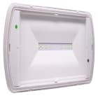 EATON - EAOSL2MNM42F2C SAFELITE 18W SA/SE 200LM 2H IP42