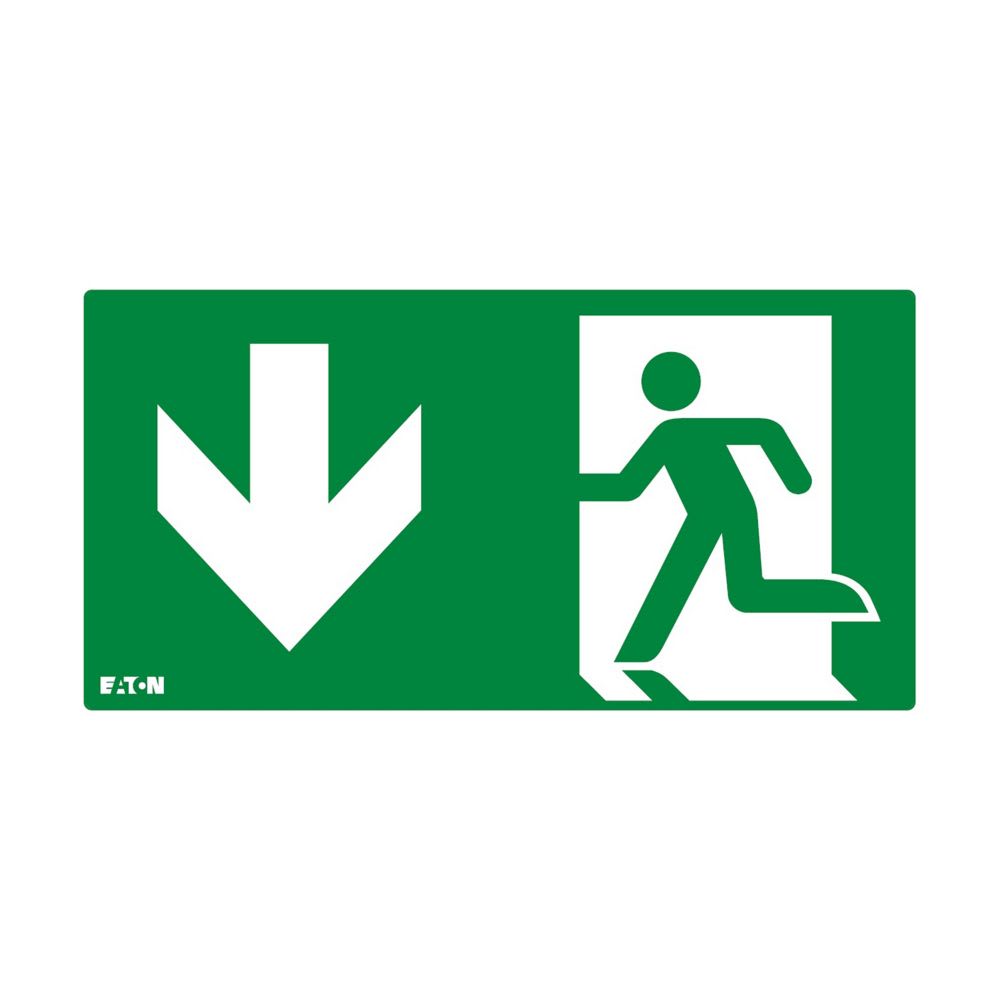 EATON - EAO155-000-213 PITTOGRAMMA ATLANTIC LED D, ISO (C), BS