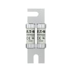 EATON - EAO110AEET 110AEET 110A TYPE T FUSE