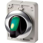 EATON - EAO187121 M30C-FWLK-G SELETT. LUM. 30MM VERDE 2P.