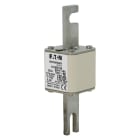 EATON - EAO170M3166 170M3166 FUSE 250A 690V 1*/110 AR UC