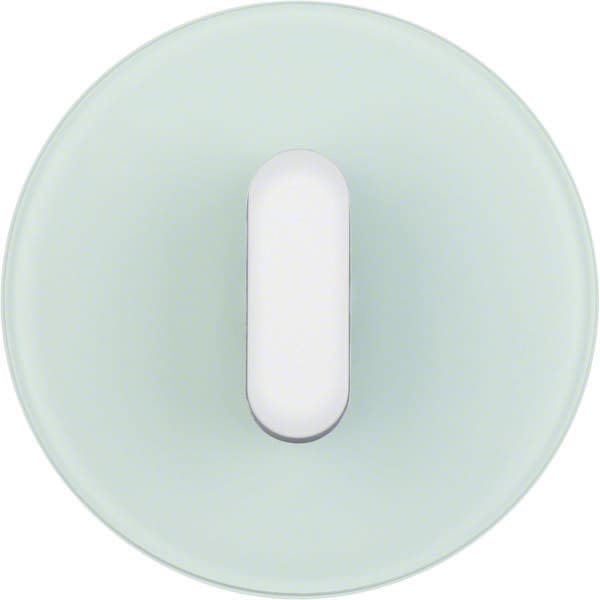 BERKER - BRK1001208300 PLACCA+TRAVRS.X INT/PULS.R.CLASS VETRO B