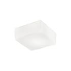 ROSSINI - RSS10118-20-LED APPLIQUE/PLAFONIERA QUADRATA VETRO SATIN