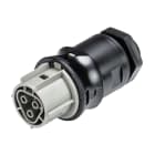 WIELAND ELECTRIC SRL - WIE96.031.6054.3 FEMMINA INCASSO RST25I3S B1 M00V BG03
