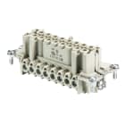 WIELAND ELECTRIC SRL - WIE70.300.1602.0 INSERTO FEMMINA BAS BUS 16 2,5 50 AG