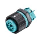 WIELAND ELECTRIC SRL - WIE46.051.5053.6 FEMALE BULKHEAD