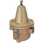 WATTS INDUSTRIES ITA - WAT149B7011 RID.PRESSIONE 10BIS 21/2