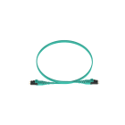 PANDUIT - PANFZ2ELQ1Q1SNM001 THE DUPLEX FIBER PATCH CORD IS OM4 WITH