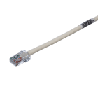 PANDUIT - PANUTPCH5MY BRETELLA DI PERMUTAZIONE CATEGORIA 5E UT