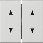 GIRA - GIR115003 Wippe 2f Pfeile System 55 Reinweiss