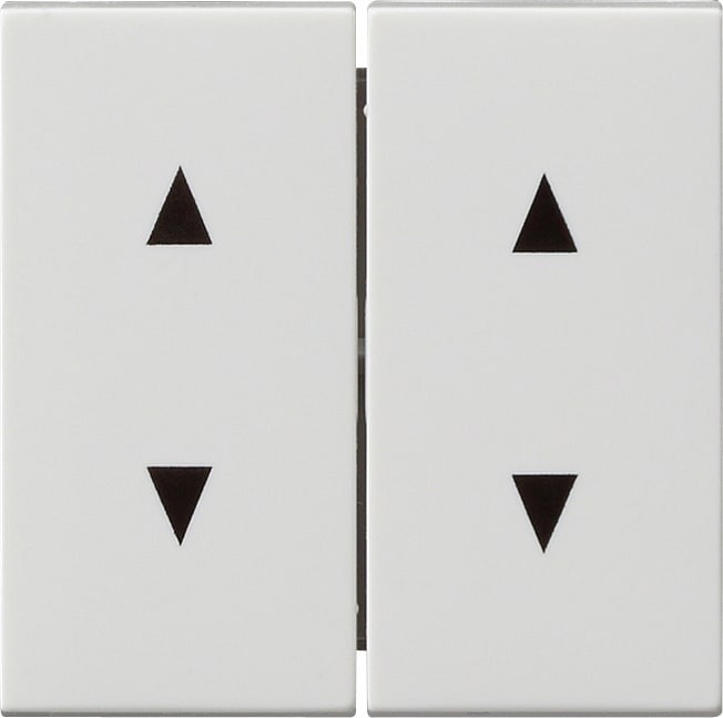 GIRA - GIR115003 Wippe 2f Pfeile System 55 Reinweiss