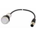 EATON - EAO185556 C22-DL-W-K10-24-P1