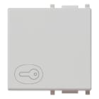 VIMAR SPA - VIW14022.P.SL TASTO 2M SIMBOLO CHIAVE SILVER