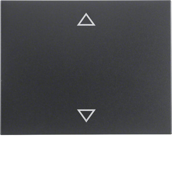 BERKER - BRK14057106 Wippe mit Aufdruck Symbol Pfeile Berker
