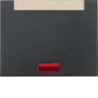 BERKER - BRK14157106 BILANC.K1 ANTRACITE OPACO, VERNICIATO