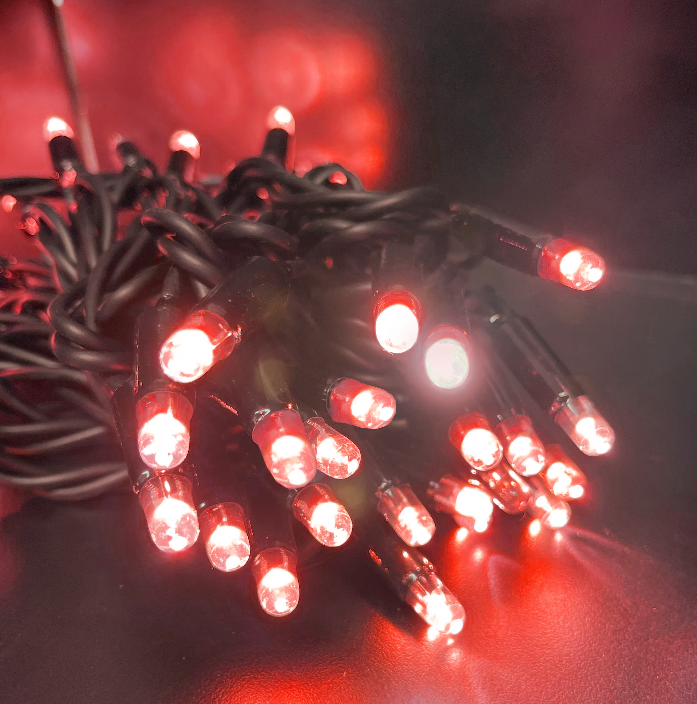GIOCOPLAST NATALE SP - GCP14322389 PROLUNGA 100 LUC. LED ROSSE L. FISSA 10