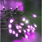 GIOCOPLAST NATALE SP - GCP14310498 40 LUCCIOLONE A LED VIOLA, CON FLASH