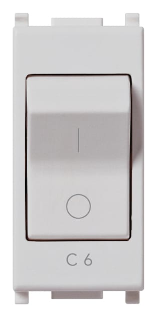 VIMAR SPA - VIW14405.06.SL INTERRUTTORE MT 1P+N C6 120-230V SILVER