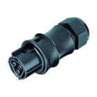 WIELAND ELECTRIC SRL - WIE96.021.4153.1 CONNETTORE PRESA RST20I2S B13ZR2 SW