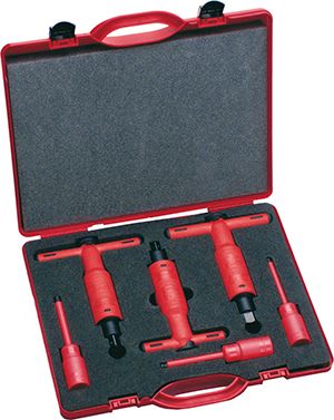 INTERCABLE SRL - INR1598009 SET CHIAVI DINAMOM.(8-10-15 NM) 3/8