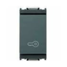 VIMAR SPA - VIW16080.P Pulsante 1P NO 10A chiave grigio