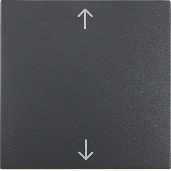 BERKER - BRK16201616 Wippe mit Aufdruck Symbol Pfeile Berker