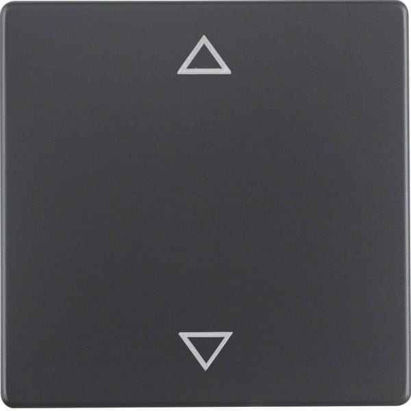 BERKER - BRK16206076 Wippe mit Aufdruck Symbol Pfeile Berker