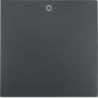 BERKER - BRK16221606 BILANC.CON STAMPA 0 B3/B7 ANTR.OPACO