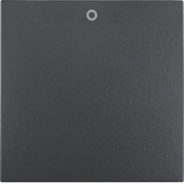 BERKER - BRK16221606 Wippe mit Aufdruck '0' Berker B.3/B.7 an