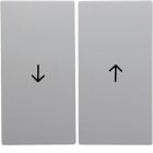 BERKER - BRK16251909 Wippe 2fach mit Aufdruck Symbol Pfeil Be