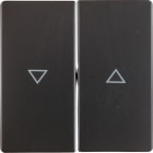 BERKER - BRK16256086 Wippe 2fach mit Aufdruck Symbol Pfeil Be