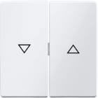 BERKER - BRK16256089 Wippe 2fach mit Aufdruck Symbol Pfeil Be