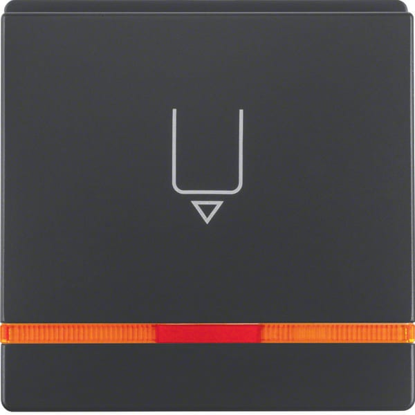 BERKER - BRK16406086 Zentralstuck mit Aufdruck fur Taster Hot