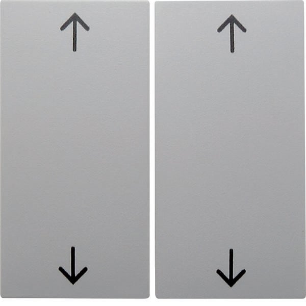 BERKER - BRK16441909 Wippe 2fach mit Aufdruck Symbol Pfeile B