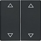 BERKER - BRK16446086 Wippe 2fach mit Aufdruck Symbol Pfeile B