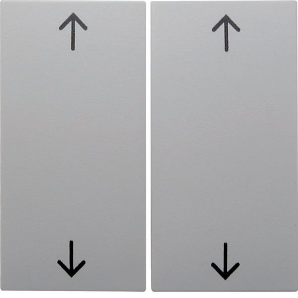 BERKER - BRK16448989 Wippe 2fach mit Aufdruck Symbol Pfeile B