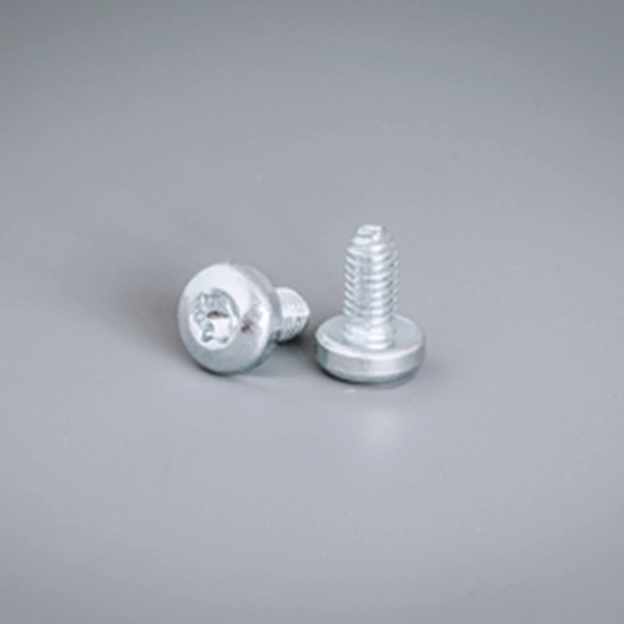ELDON AUSTRIA GMBH - HOFCNTS06 Viti materiale estrusoM6Torx