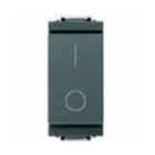 VIMAR SPA - VIW17007 Interruttore 2P 16AX grigio