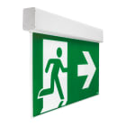 BEGHELLI - BEG17911 EXIT LGS230 DF20M