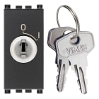 VIMAR SPA - VIW19083 INTERRUTTORE 2P 16(3)A +CHIAVE GRIGIO