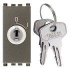VIMAR SPA - VIW19083.M INTERRUTTORE 2P 16(3)A +CHIAVE METAL