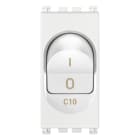 VIMAR SPA - VIW19405.10.B Interruttore MT 1P+N C10 120-230V bianco