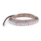 ALPHA ELETTRONICA SR - ALPJO35014243RGB N.LED 5M 120L/M 3535 24V 14.4/M RGB IP20
