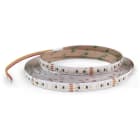 ALPHA ELETTRONICA SR - ALPJO35019243WWPW N.LED 5M 120L/M 3528 24V 19.2/M WWPWIP20