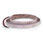 ALPHA ELETTRONICA SR - ALPJO3501941128NW N.LED 5M 112L/M 2835 1W 24V 19.2W/M B...